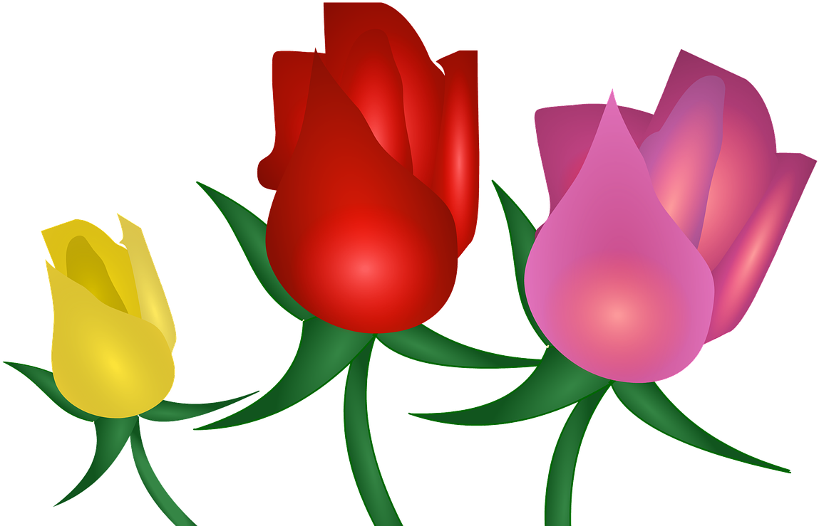 Rose Flowers Floral - Flower (1280x930), Png Download