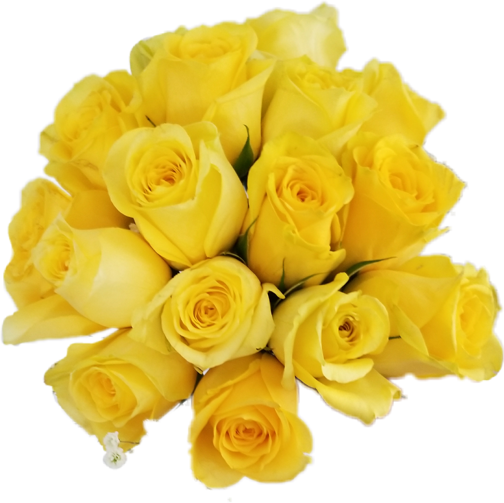Yellow Roses Wedding Marriage Flowers Yellow Roses - Wedding (1025x1024), Png Download