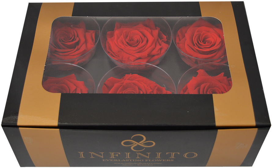 Six Red Roses Box - Garden Roses (1043x782), Png Download