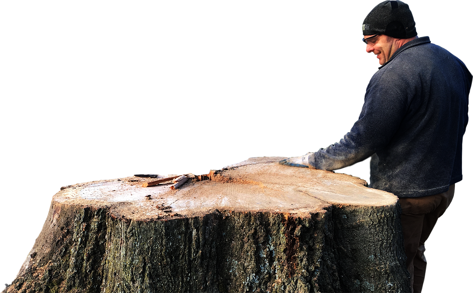 Arts And Crafts - Tree Stump (1600x992), Png Download