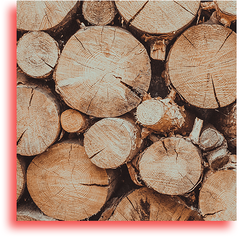 Firewood (541x513), Png Download