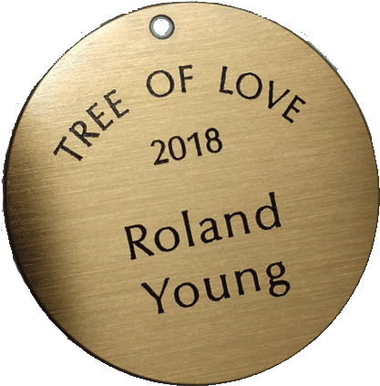 Tree Of Love Disc - Health Care (516x440), Png Download