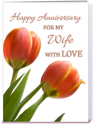 Happy Anniversary Wife Cards (435x429), Png Download