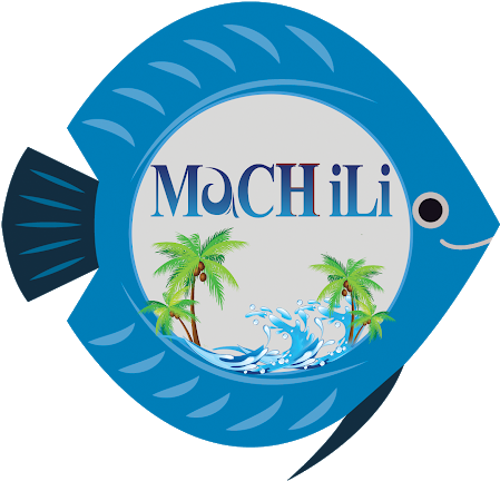 Photo - Restaurant (530x530), Png Download