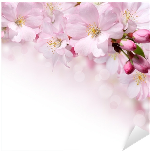 Spring Flowers Design Border Background Sticker • Pixers® - Flower (400x400), Png Download