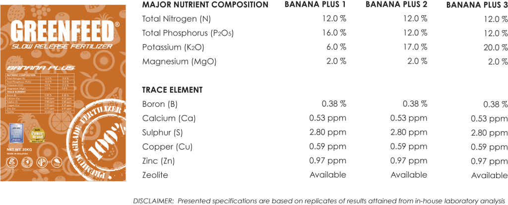 Exploring Into Fruit Bearing Planting, Banana Is Known - Controlled-release Fertiliser (1024x414), Png Download