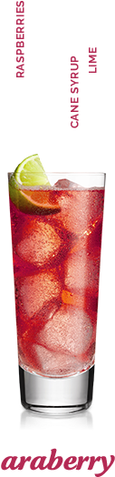 Arawak Cocktail Araberry - Juice Glass (285x619), Png Download