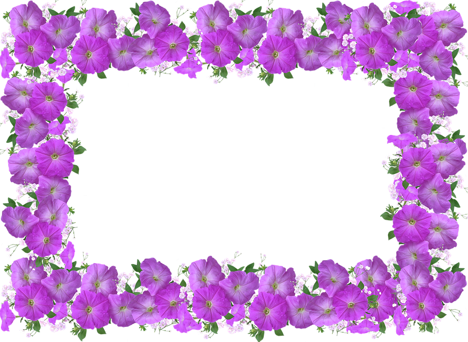 Frame, Border, Petunia, Floral Decoration - Nimepäev Anne (960x702), Png Download