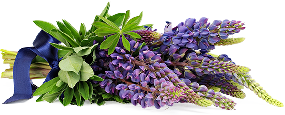 Flower Arrangement - Purple Flower Arrangements Png (586x237), Png Download