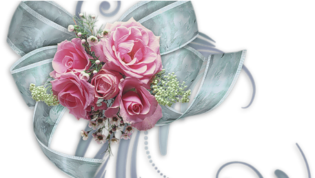 Bows, Floral, Decor, Arches, Decoration, Bow Ties, - Flower Girl Oval Ornament (492x258), Png Download