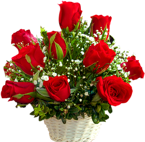 24 Red Roses Basket - Flower Rose In Basket Png (600x756), Png Download