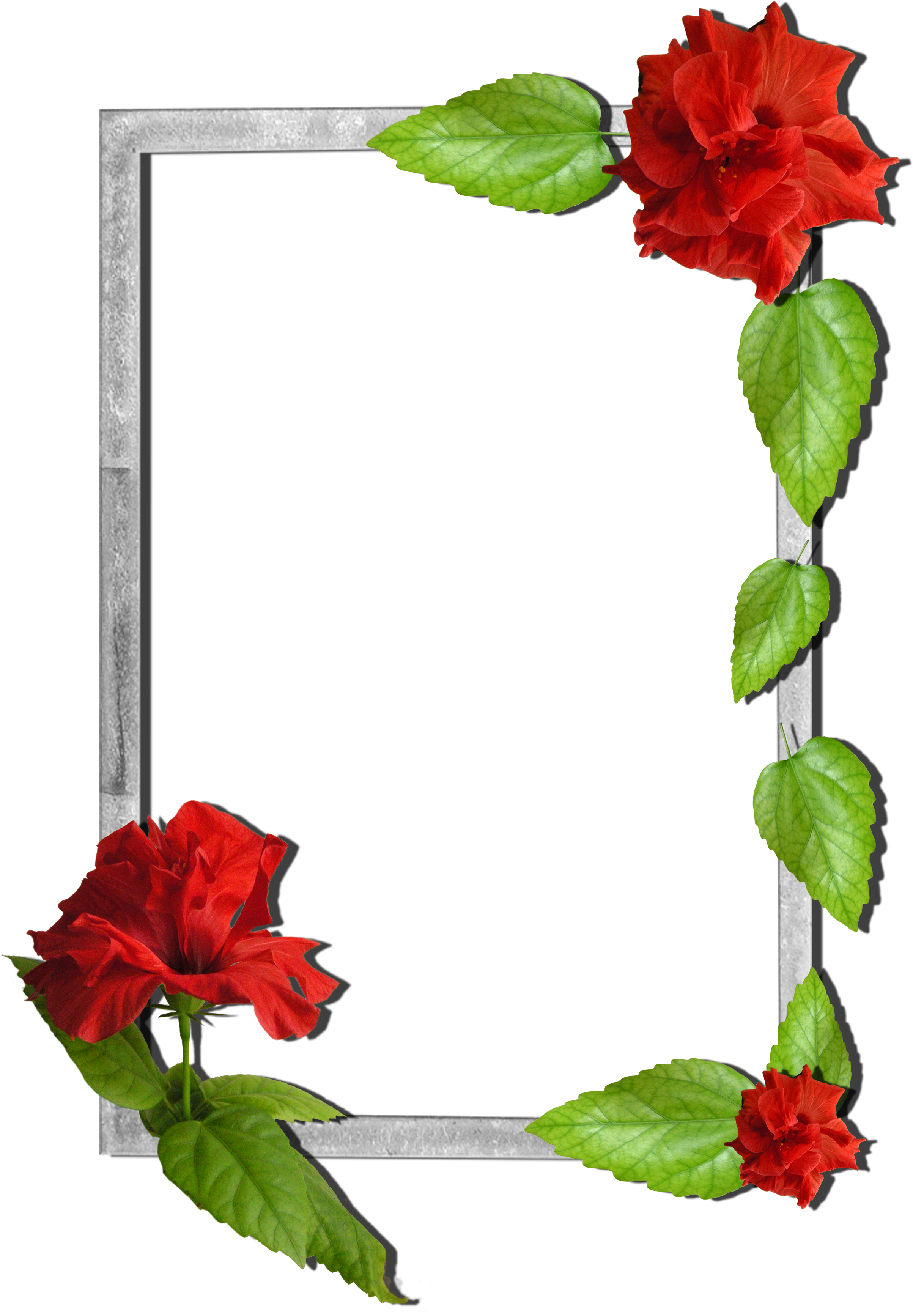 Flower Photo Frame Design Png (2480x3510), Png Download