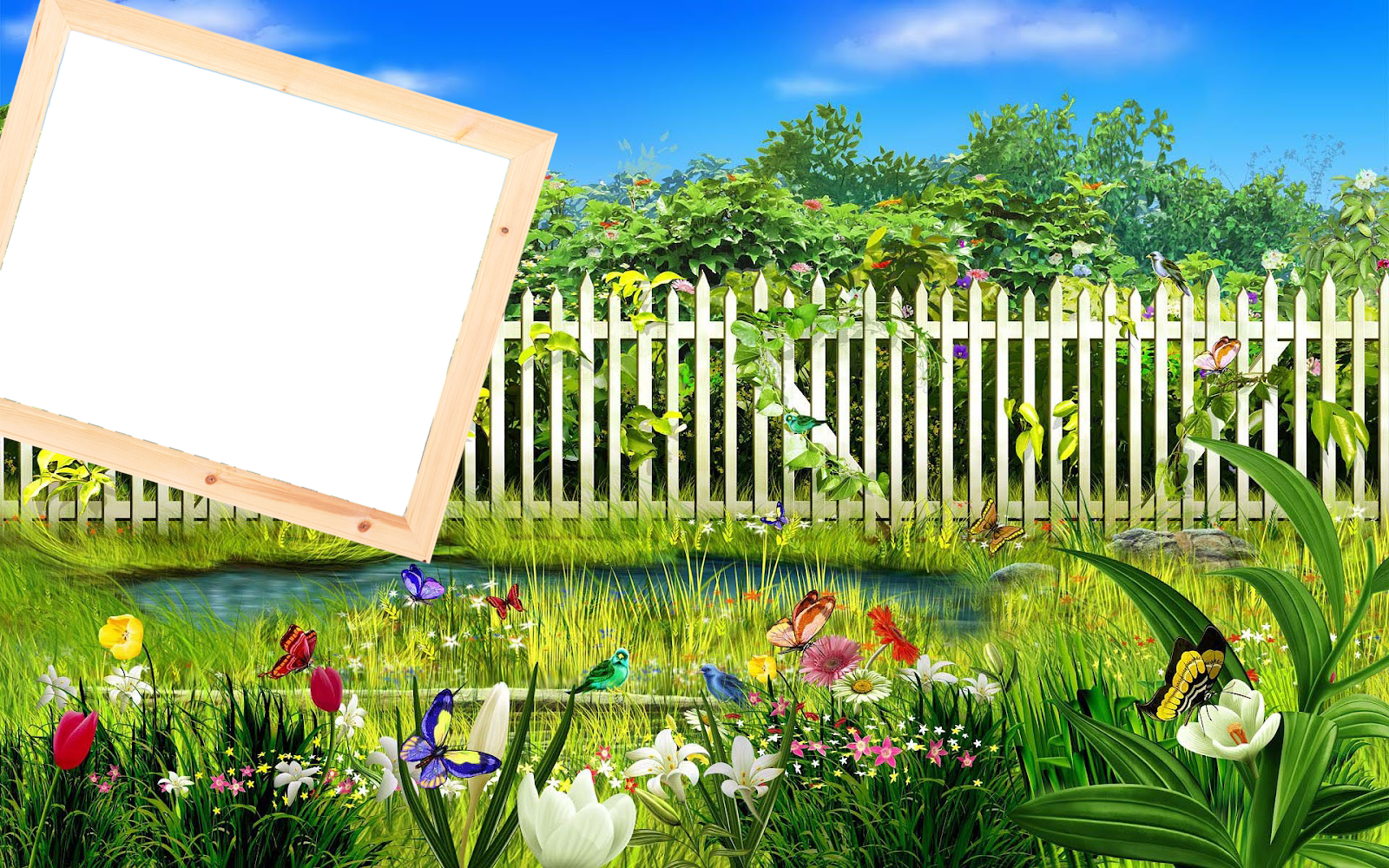 Frames - Best Photo Frame Hd (1600x1000), Png Download