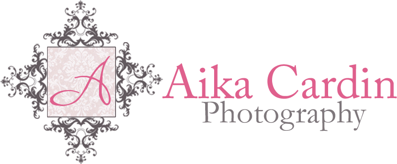 Premade Photography Logo - Human Smoke: The Beginnings Of World War Ii, The End (839x390), Png Download