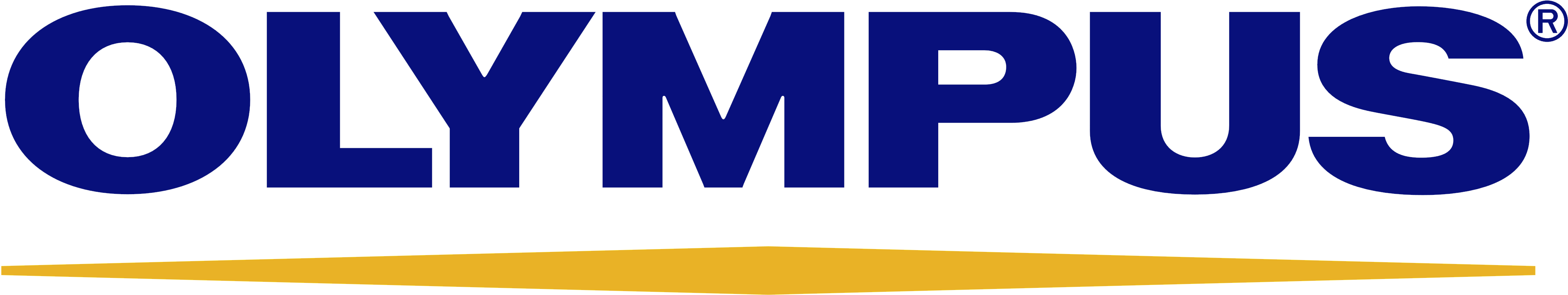 Footer Logo Footer Logo Footer Logo Footer Logo - Olympus Png (5000x1300), Png Download