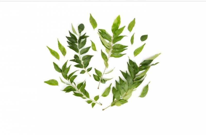 Curry Leaves 250g - Floral Design (800x800), Png Download