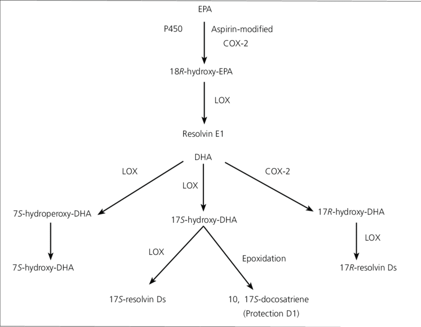 4 Metabolic Pathways For The Conversion Of Eicosapentaenoic - Resolvin (850x660), Png Download