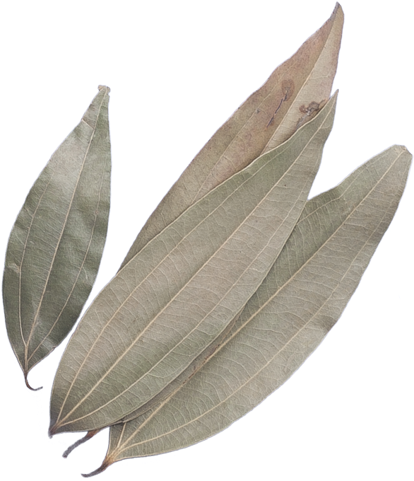 Indian Bay Leaf (700x700), Png Download