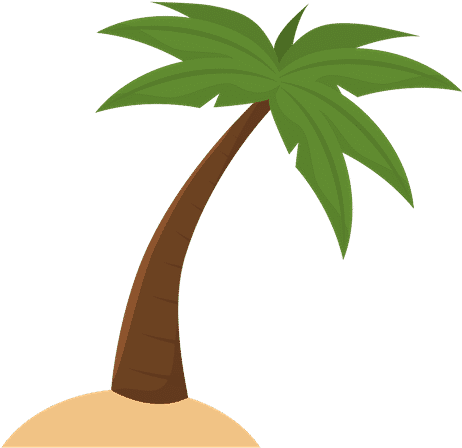 Coconut Palm - 0shares - Verano Palmas (500x500), Png Download