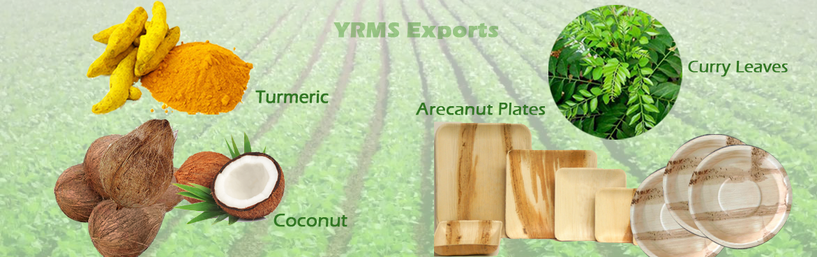 Our Products - Bentonite Clay With Turmeric & Cloves Powder. Indian (1171x368), Png Download