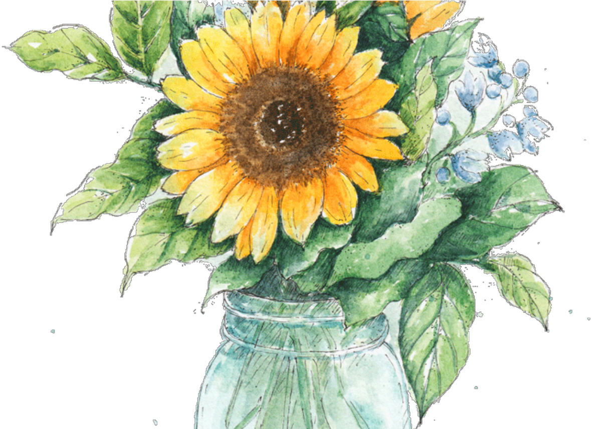 Jar Drawing Ubisafe - Sunflower Mason Jar Clipart (1368x855), Png Download