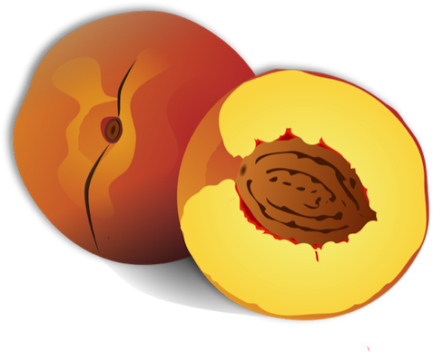 Free Fruit Clipart - Custom Peach Throw Blanket (500x471), Png Download