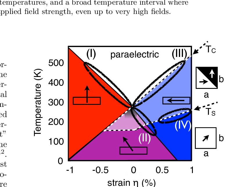 Colors Encode Different Polarization Directions (also - Diagram (816x644), Png Download
