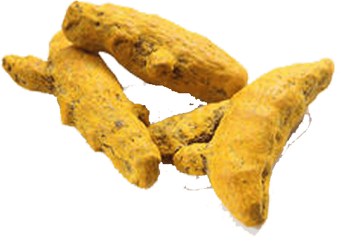 Raw Turmeric (500x379), Png Download