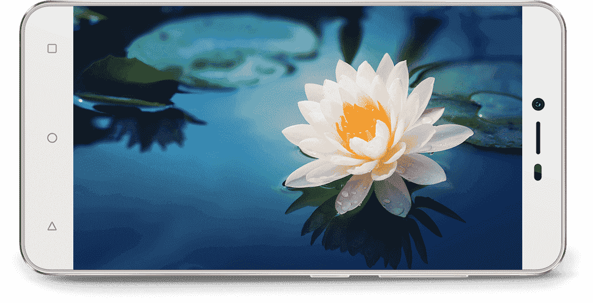 Previous Next - Flores Para Fondo De Pantalla (1173x600), Png Download