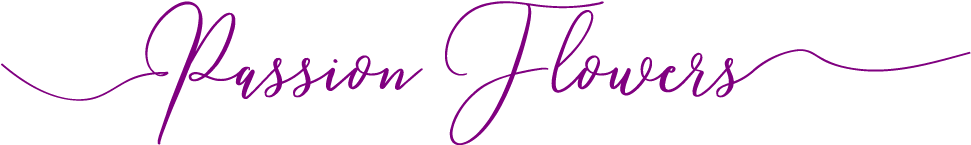 Katy, Tx Florist - Katy (1001x233), Png Download