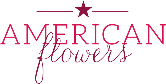 Los Angeles, Ca Florist - Condominio Mirador San Damian (558x301), Png Download