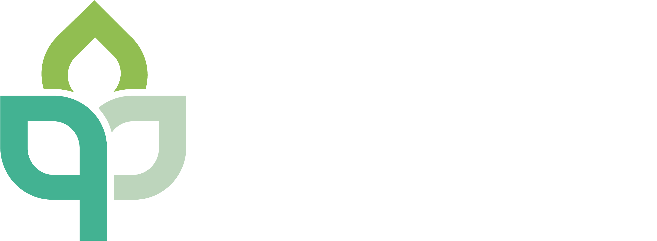 Mnp Flowers - Ragworts (4130x1051), Png Download