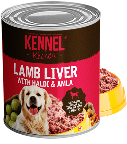 Lambliverinhaldi&amla Thumbnails - Indian Gooseberry (600x600), Png Download