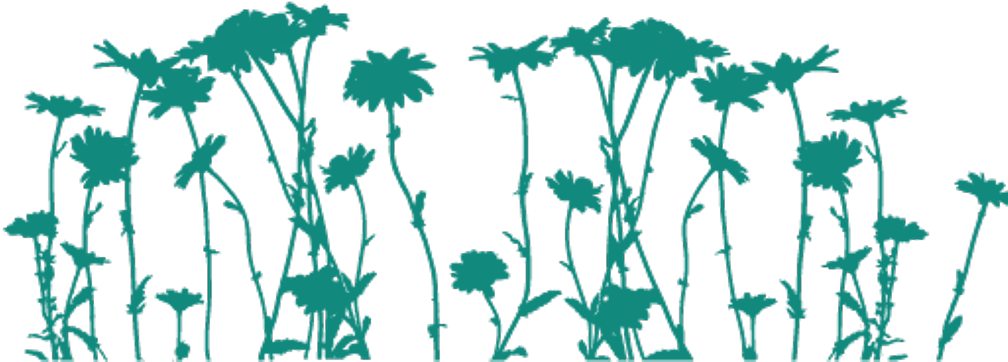 Freetoedit Png Flowers With A Transparent Background - Silhouette (1024x1024), Png Download