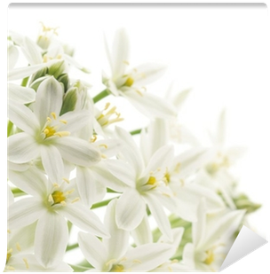 White (400x400), Png Download