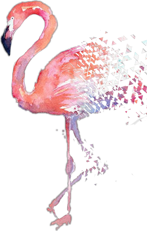 Flamingo Watercolor Painting Hd (480x753), Png Download