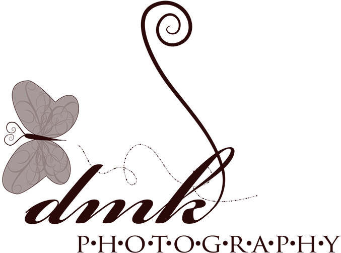 Dmk Photography - Lycaenid (1000x678), Png Download