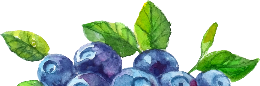 Recky Jogurt Milko Jogurt Milko Boruvky Milko Boruvky - Bilberry (867x289), Png Download