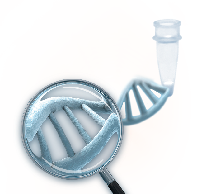Stat Nat Dna Mix - Nucleic Acid (633x623), Png Download