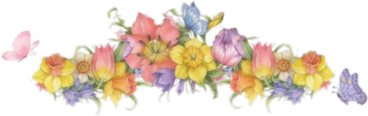 Edited By Singh24 - Clip Art (800x302), Png Download