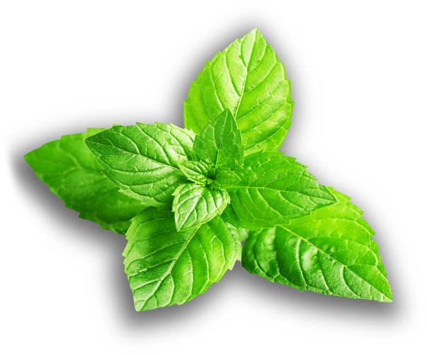 Slide - Motivation Essential Oil Blend - Miracle Essential (630x520), Png Download