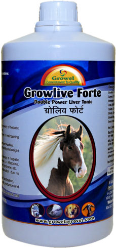 Digestive Supplements For Horse - Dayspring 12' X 12' Wall Calendar Horses, P1, Multicolor (247x500), Png Download