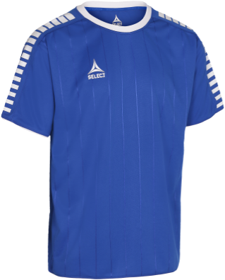 Player Shirt S/s Argentina - Select Argentina T Shirt (345x430), Png Download