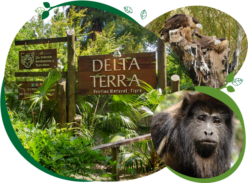 Reservas Naturales En Argentina (800x600), Png Download