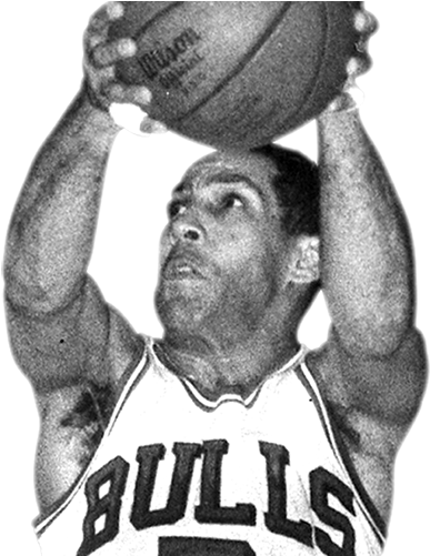 Biceps Curl (800x500), Png Download