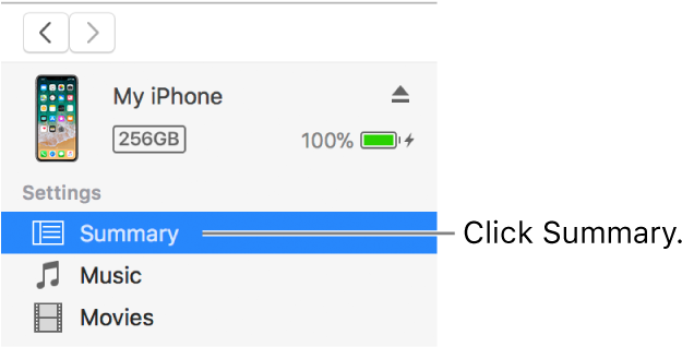 The Device Window With Summary Selected In The Sidebar - Apple Cover For Iphone X - Pink Sand (644x317), Png Download