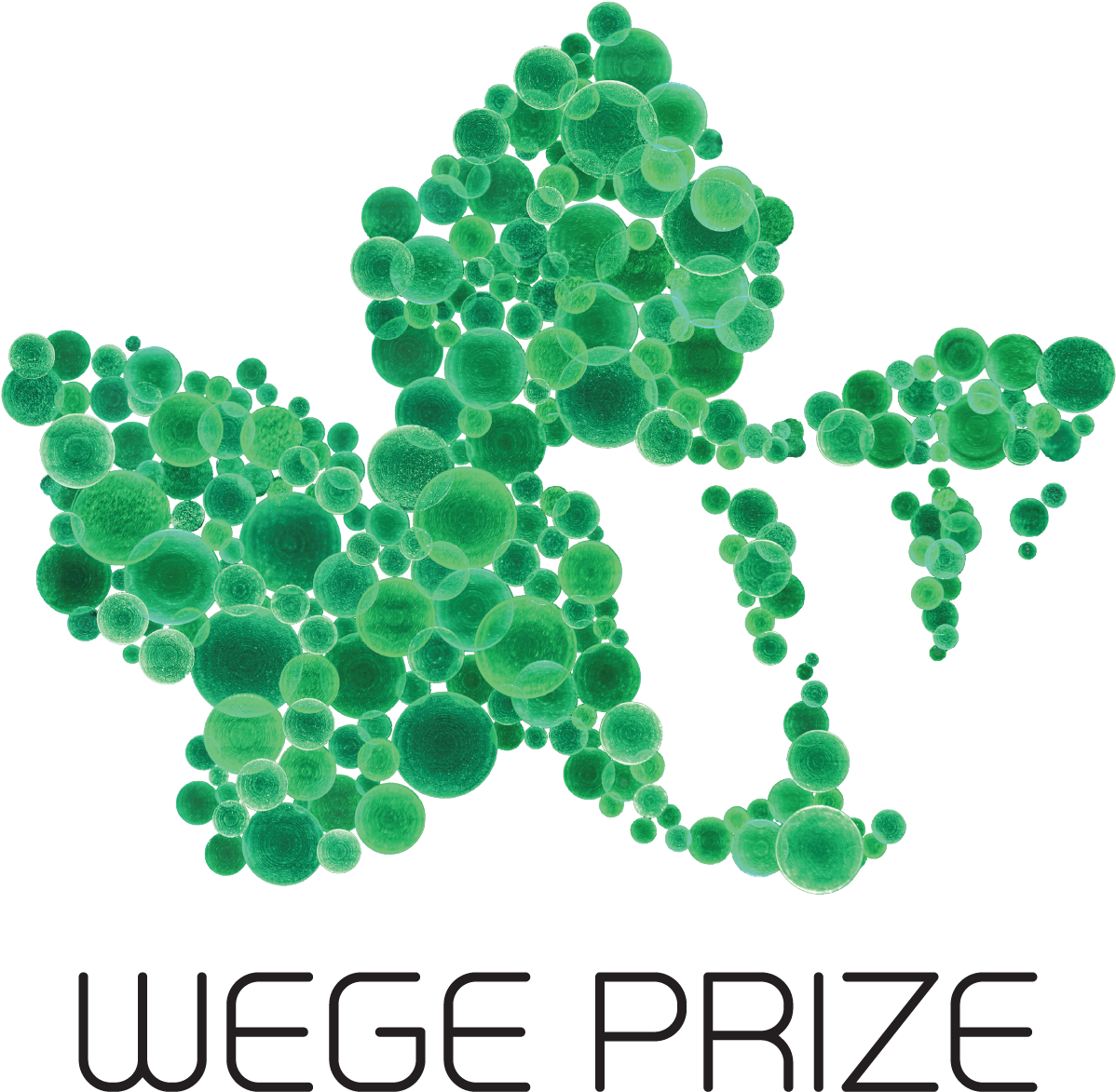 The Logo Must Not Be Resized Or Distorted - Illustration (1232x1192), Png Download