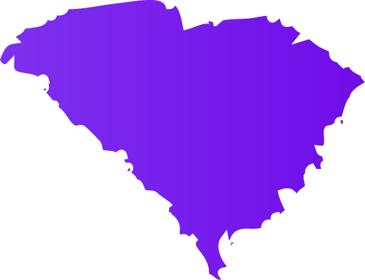 South Carolina Icon For Wheelchair Van Dealers Who - State Of South Carolina Transparent (529x406), Png Download
