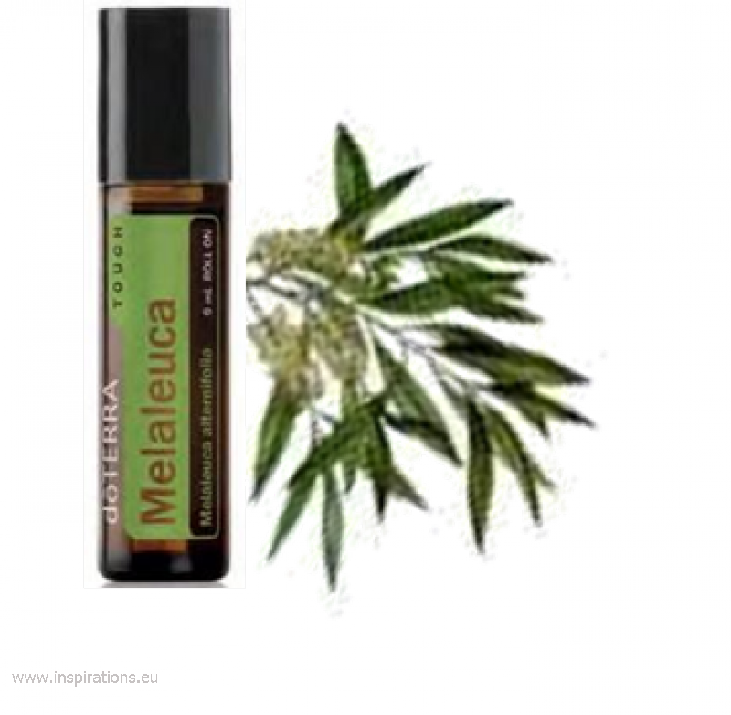 Tea Tree Touch Doterra (800x782), Png Download