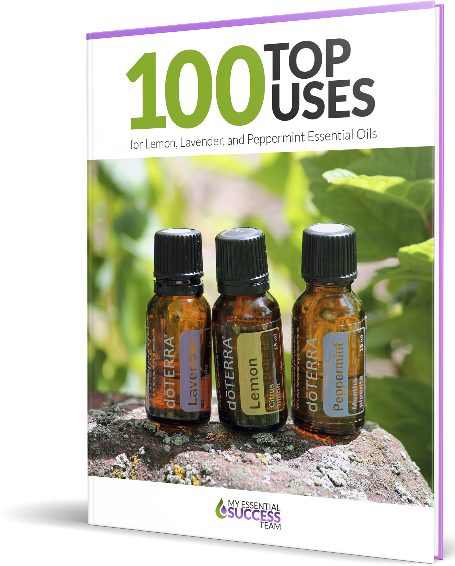 Free Report - Cosmetics (1810x2295), Png Download